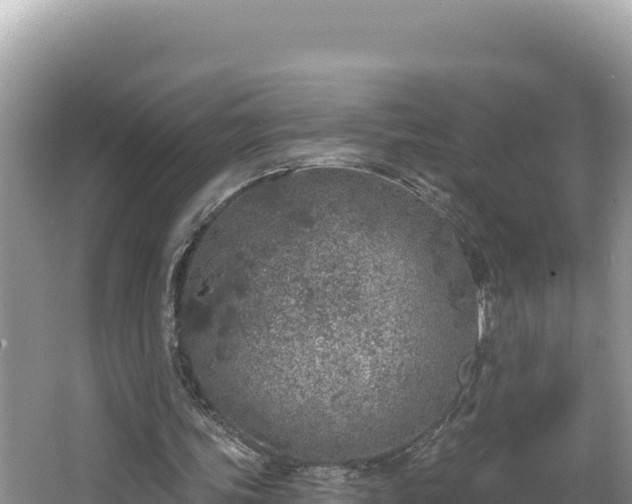 X0000067490339200604101301