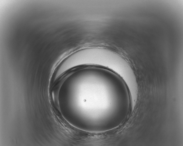 X0000067490340200604101301