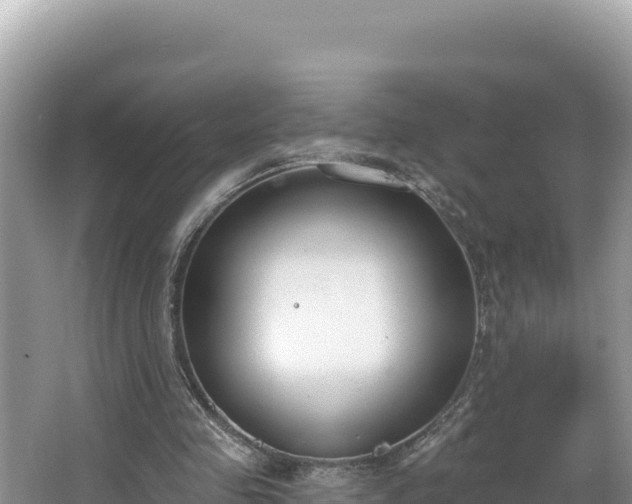 X0000067490341200604101301