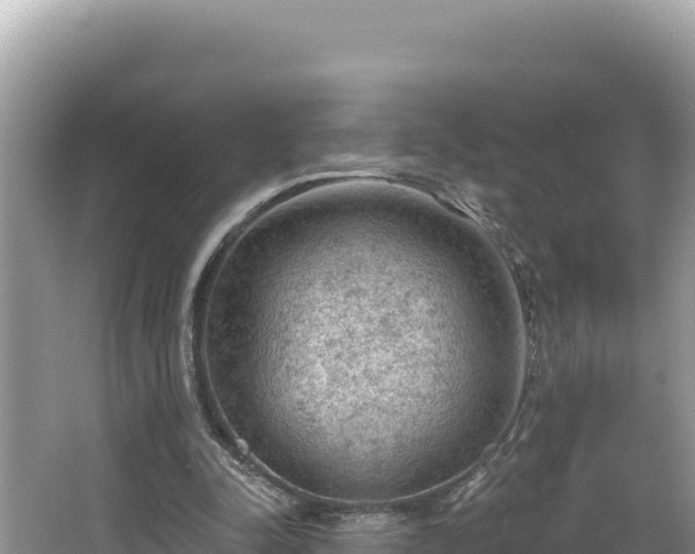 X0000067490342200604101301