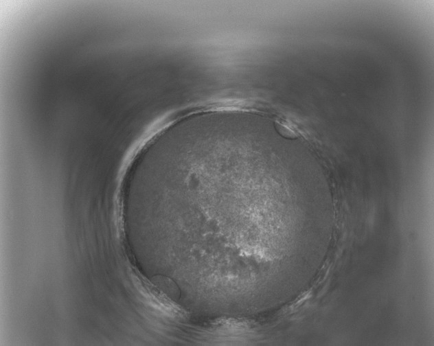 X0000067490343200604101301