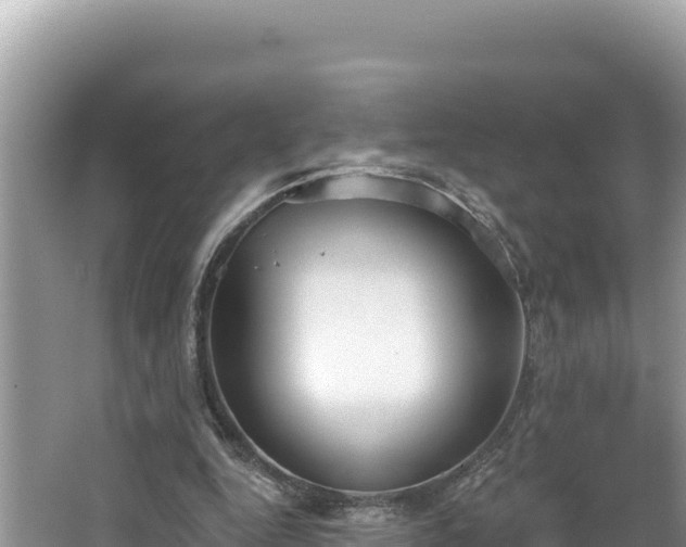 X0000067490344200604101301