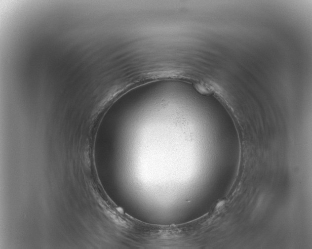 X0000067490345200604101301