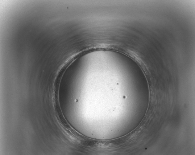 X0000067490346200604101301