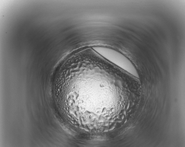 X0000067490347200604101301