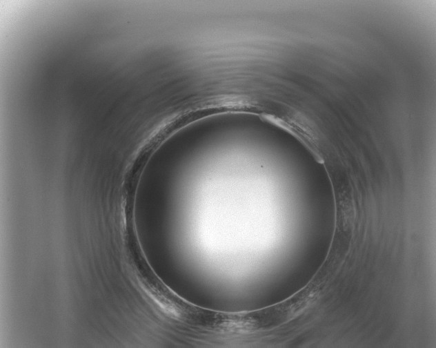 X0000067490350200604101301