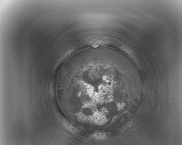 X0000067490353200604101301