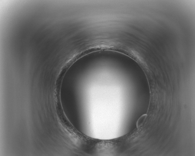 X0000067490354200604101301