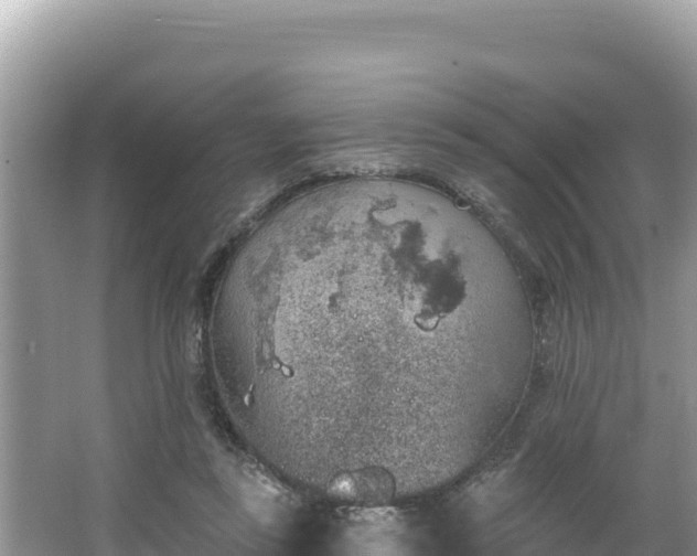 X0000067490355200604101301