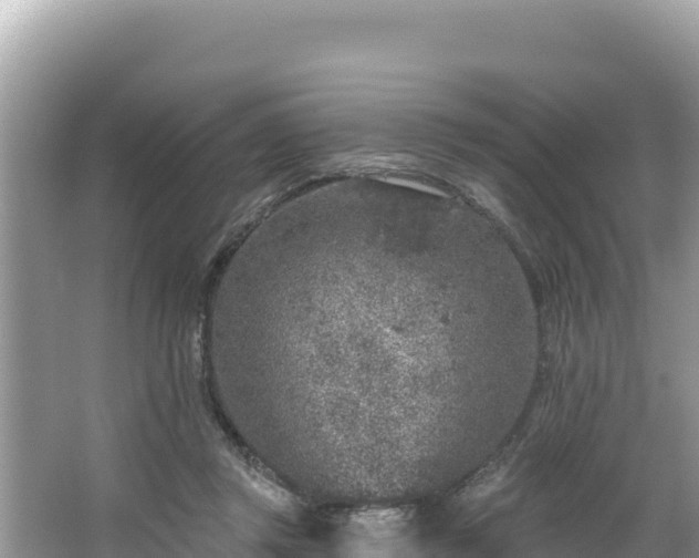 X0000067490357200604101301