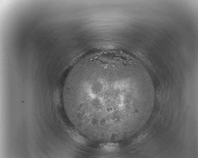 X0000067490359200604101301