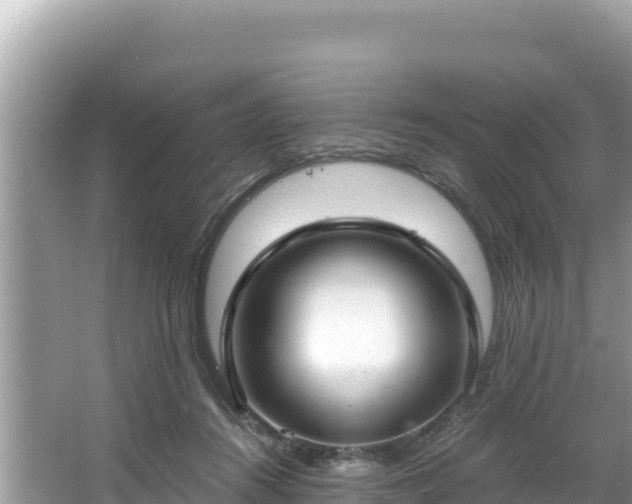 X0000067490360200604101301