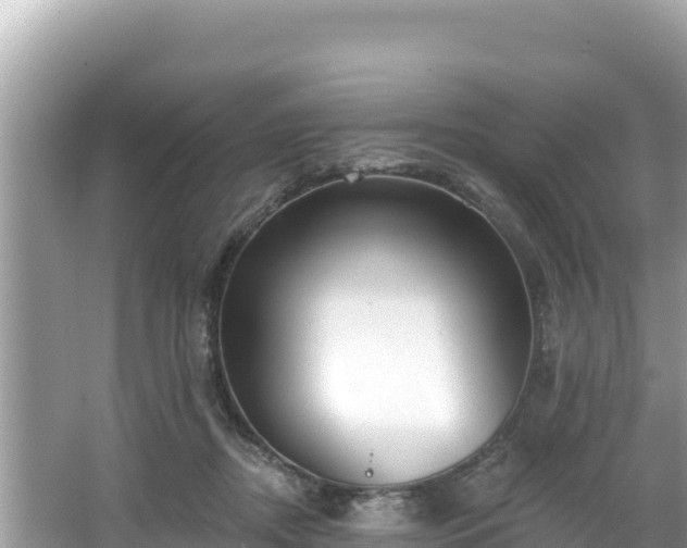 X0000067490362200604101301