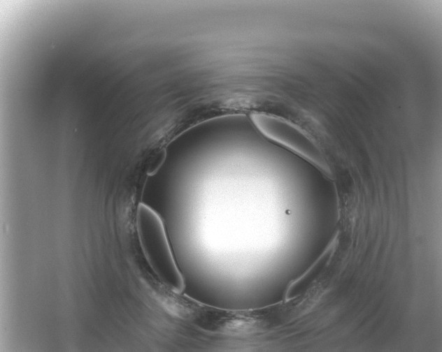 X0000067490364200604101301