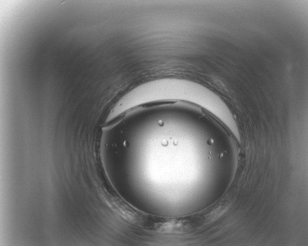 X0000067490366200604101301