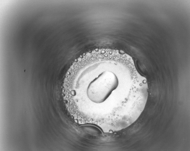 X0000067490370200604101301