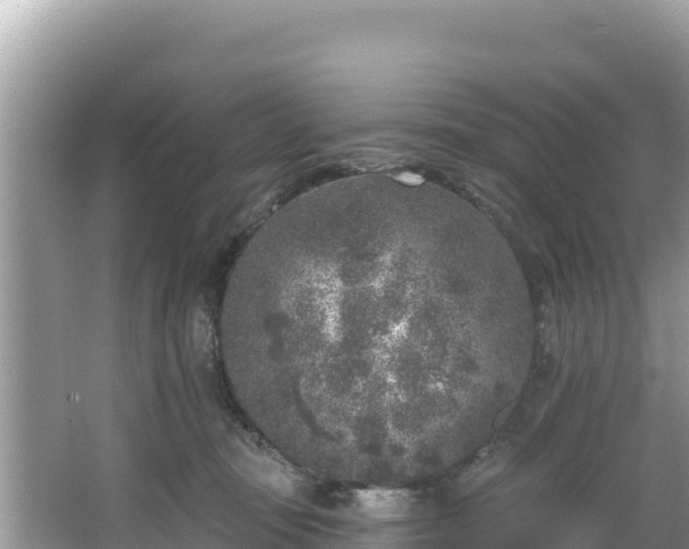 X0000067490371200604101301