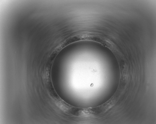 X0000067490372200604101301