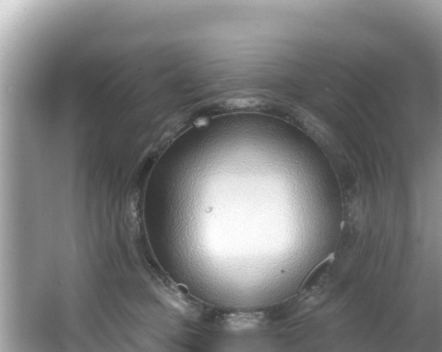 X0000067490373200604101301