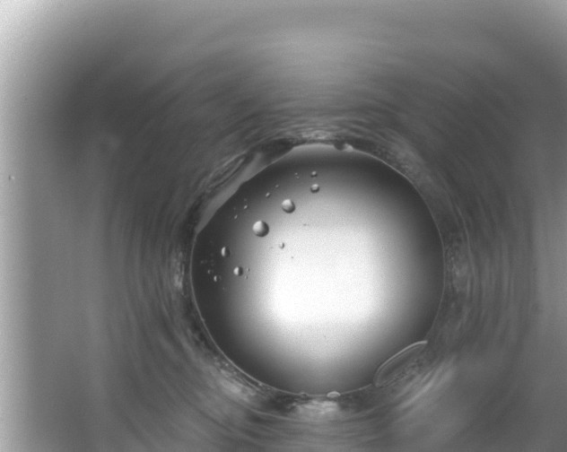 X0000067490374200604101301