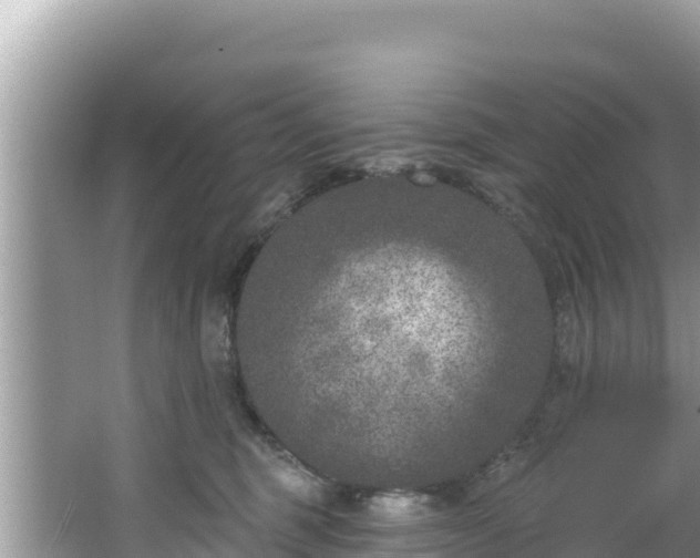 X0000067490375200604101301