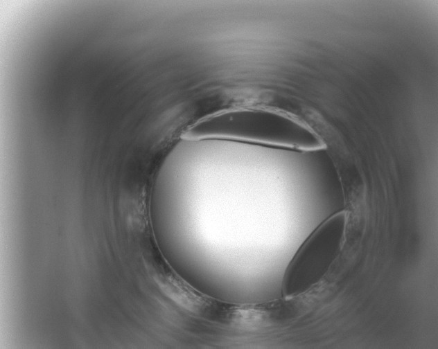 X0000067490376200604101301