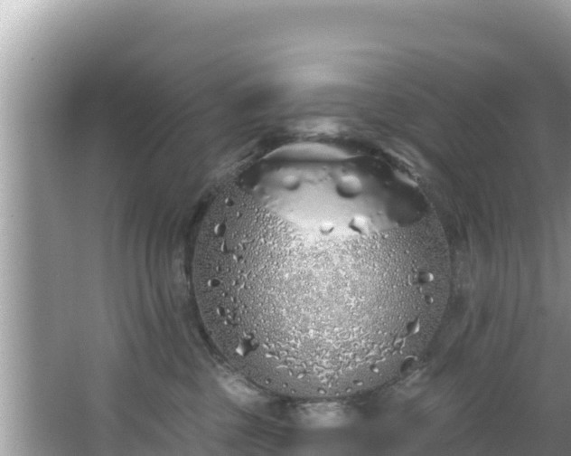 X0000067490377200604101301