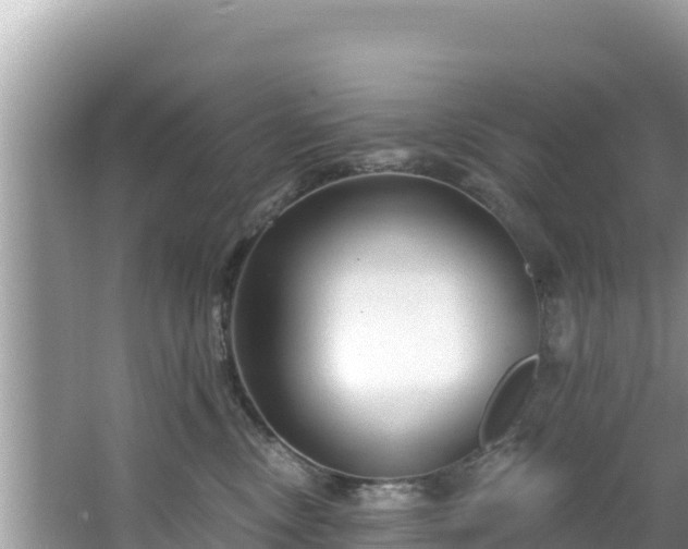 X0000067490378200604101301