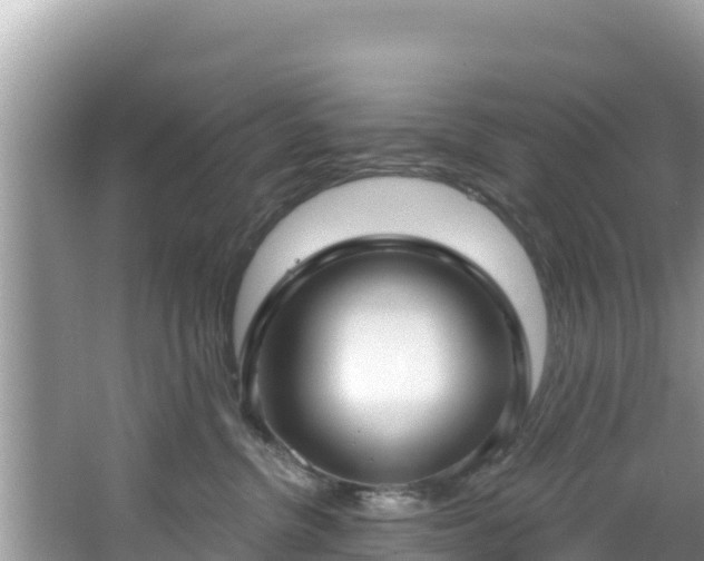 X0000067490380200604101301