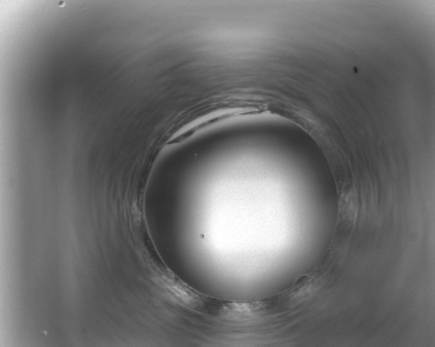 X0000067490381200604101301