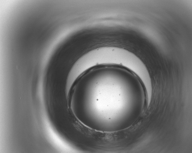 X0000067490383200604101301