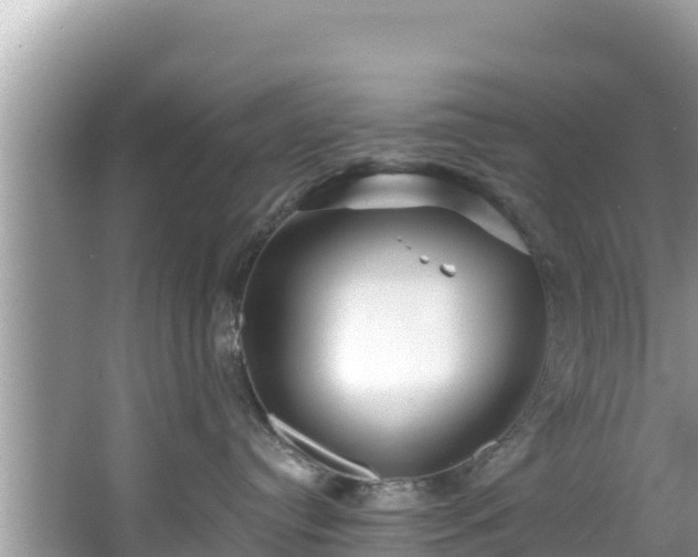 X0000067490384200604101301