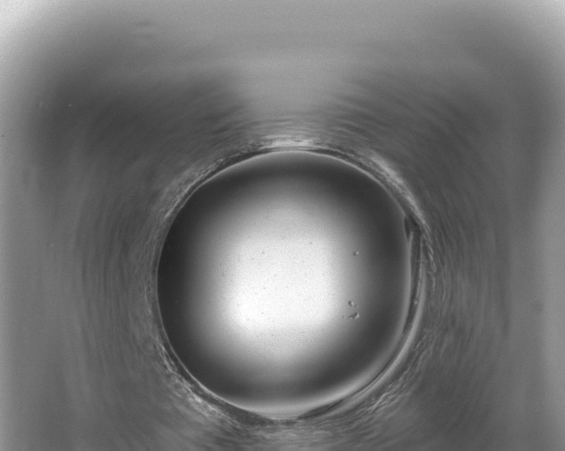 X0000067490385200604101301