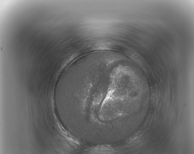 X0000067490386200604101301