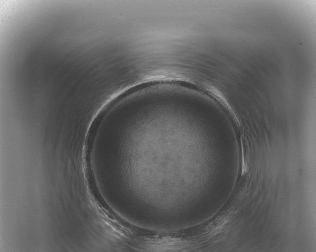 X0000067490387200604101301