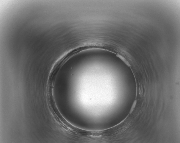 X0000067490388200604101301