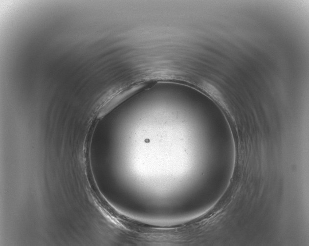 X0000067490389200604101301