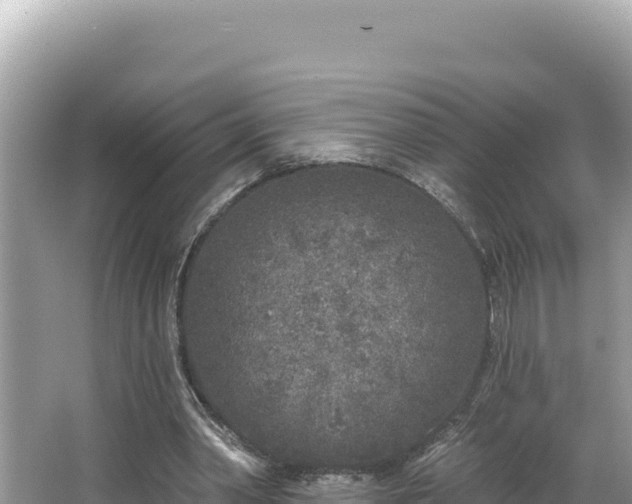 X0000067490390200604101301