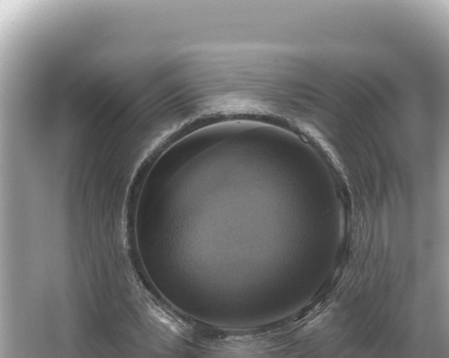 X0000067490391200604101301