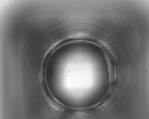 X0000067490392200604101300