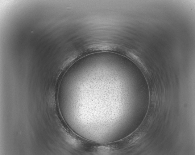 X0000067490394200604101300