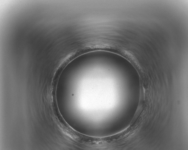 X0000067490395200604101300