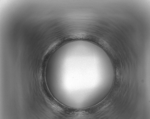 X0000067490396200604101300