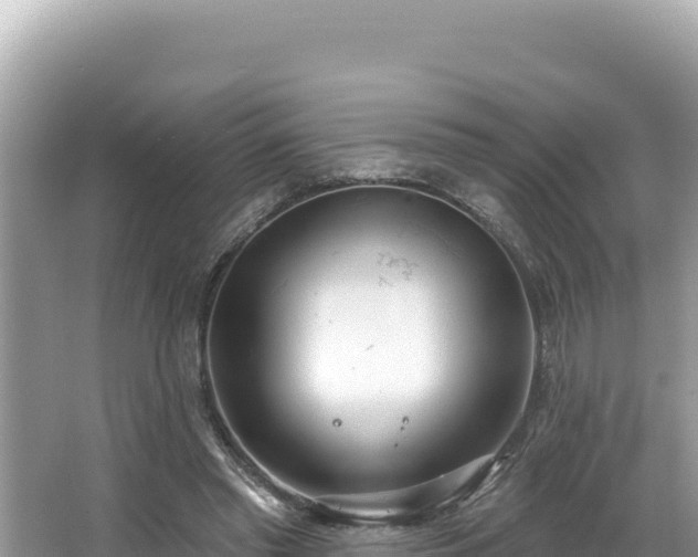 X0000067490397200604101300