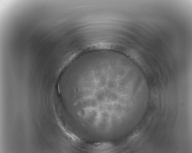 X0000067490398200604101300