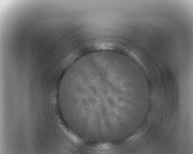 X0000067490402200604101300