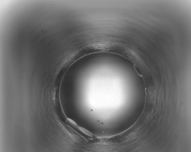 X0000067490404200604101300