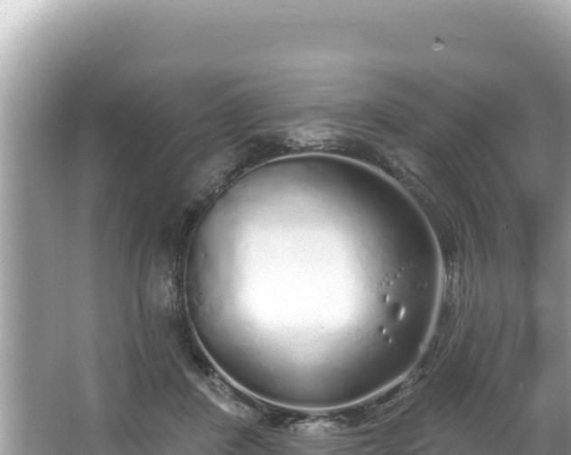 X0000067490408200604101300