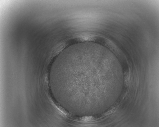 X0000067490410200604101300