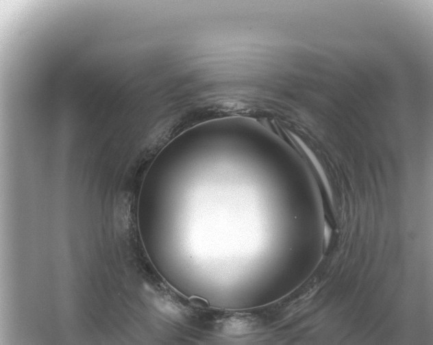 X0000067490412200604101300